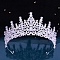 Alloy Rhinestone Crown Hair Bands for Woman Girls, Wedding Party Decoration, Tangerine, 140mm