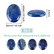 Cabochons à dos plat en lapis-lazuli naturel pandahall elite G-PH0002-22A-2