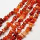 Nuggets Natural Red Carnelian Beads Strands G-N0128-69-1