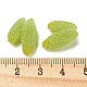 Кабошоны из непрозрачной смолы с фруктами RESI-H156-01-07-3