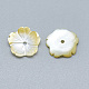 Perles de coquillage jaune SSHEL-S260-078-2