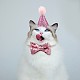 Bel cappello da compleanno per animali domestici MP-TAC0006-B02-6