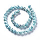 Cuisson opaque de perles de verre peintes EGLA-N006-005D-2