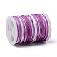 Segment Dyed Polyester Thread NWIR-I013-A-08-2