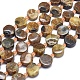 Perles d'ammonite naturelle / perles de conque G-E530-11H-1