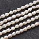Natural Cultured Freshwater Pearl Beads Strands PEAR-N002-01B-1