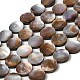 Chapelets de perles en coquillage naturel SHEL-K006-34-1