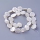 Chapelets de perles de coquillage SSHEL-E571-43-2