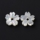 Natural White Shell Beads SHEL-F002-04-2