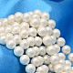 Tondo guscio fili di perle perla BSHE-L011-10mm-A013A-1