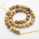Faceted Round Natural Picture Jasper Beads Strands G-E302-089-10mm-2