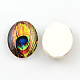 Cabochons avec motif de plumes de paon de dos plat ovales en verre for DIY Projects X-GGLA-R022-25x18-60-2