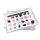 Collezioni di pepite di pietre preziose naturali, per l'insegnamento delle scienze della terra, scatola: 90x60x20 mm, gemma: 8~14x5~8 mm, 24pcs/scatola