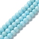 Natural Howlite Beads Strands G-E604-B02-B-1