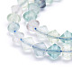 Natural Fluorite Beads Strands G-E569-D08-3