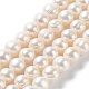 Natural Cultured Freshwater Pearl Beads Strands PEAR-E019-03-1