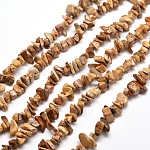 Imagen natural de chips de jaspe hebras de perlas, 5~8x5~8mm, agujero: 1 mm, alrededor de 31.5 pulgada