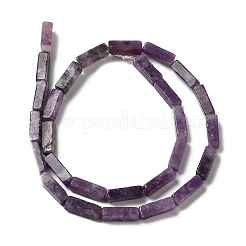 Natürliche Lepidolith / lila Glimmer Steinperlen Stränge&nbsp;G-E612-C05-A