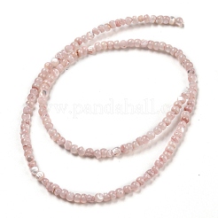 Hebras de cuentas teñidas de concha blanca natural&nbsp;BSHE-Z005-03D