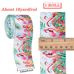 Ruban polyester imprimé 10 mètre&nbsp;OCOR-GF0002-47D