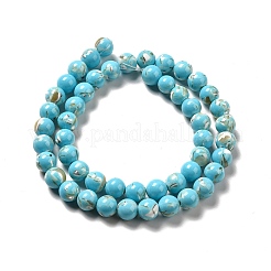 Fili di perle sintetiche turchesi e conchiglie montate&nbsp;G-D482-01E-07