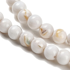 Fili di perle di pietra sintetica e conchiglia trochus assemblati&nbsp;G-B128-08A-01