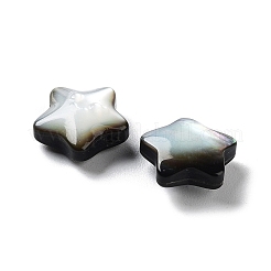 Natürliche schwarze Lippe Muschelperlen&nbsp;SHEL-M020-02B