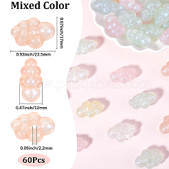 60 Stück transparente Acrylperlen&nbsp;OACR-SC0002-10