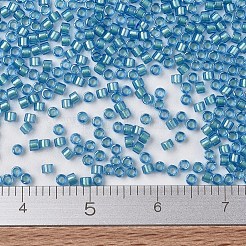 Perline miyuki delica&nbsp;SEED-JP0008-DB1709