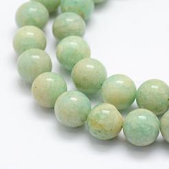 Fili di perline amazonite naturale&nbsp;G-P322-22-10mm