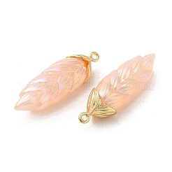 Pendentifs en résine plaquée irisée arc-en-ciel&nbsp;LS-RESI-C047-03A-G