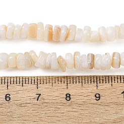 Natürlichen Süßwasser-Muschelperlen Stränge&nbsp;SH-CBA2978-01
