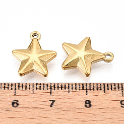 Anhänger aus 304 Edelstahl&nbsp;STAS-N109-143G