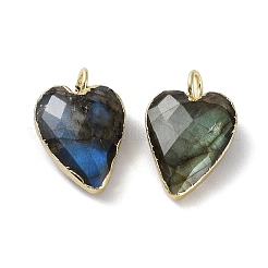 Pendentifs de labradorite naturelle&nbsp;G-G012-11G-06
