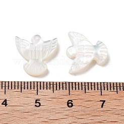 Natürlichen Muschelperlen&nbsp;BSHE-H017-02