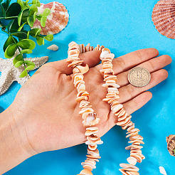 1 Strang natürliche Muschelperlenstränge&nbsp;SSHEL-TA0001-13