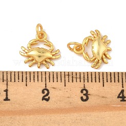 Pendentifs en laiton océan&nbsp;KK-K364-23D-G