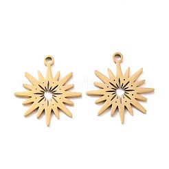 Pendentifs en acier inoxydable chirurgical 316 avec placage ionique (IP)&nbsp;STAS-L265-20G