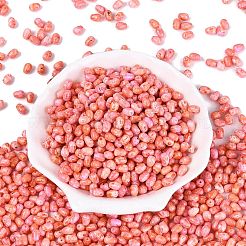 Picasso-Glasperlen&nbsp;SEED-N012-10A