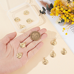 10 pièces pendentifs en laiton&nbsp;KK-UN0005-62