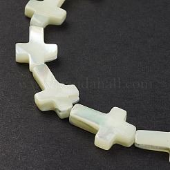 Natürliche Trochidschale / Trochusschalenperlenstränge&nbsp;SSHEL-K027-04