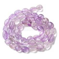 Natürliche Lavendel-Amethyst-Perlenstränge&nbsp;G-C268-A03-8x10mm