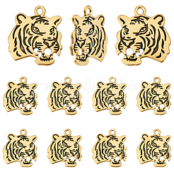 30 pièces pendentifs en alliage de style tibétain&nbsp;FIND-SC0022-44