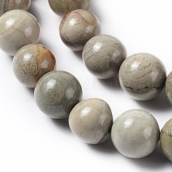 Natürliche Silberblatt Jaspis Perlen Stränge&nbsp;G-F627-13