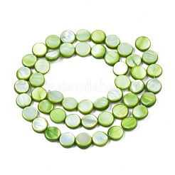 Shell perle d'acqua dolce fili&nbsp;SHEL-T009-B16-04