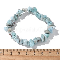 Natürliche Larimar Perlen Stretch Armbänder&nbsp;BJEW-JB02680-01
