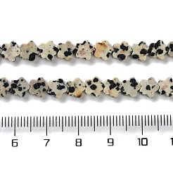 Natur Dalmatiner Jaspis Perlen Stränge&nbsp;G-B138-C08-01