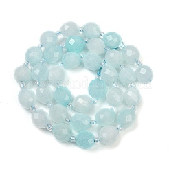 Natürliche Malaysia Jade Perlen Stränge&nbsp;G-D305-A01-01C