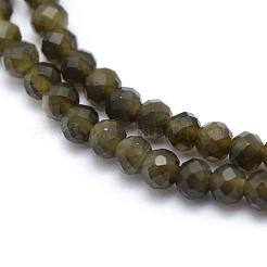 Natürlicher goldglänzender Obsidian-Perlenstrang&nbsp;G-E411-34-2mm