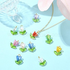 90 pz 9 colori pendenti in acrilico lampwork&nbsp;PALLOY-CJ00048